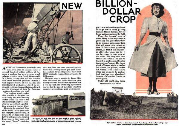HEMP Billion Dollar Crop Popular Mechanics - Hemp History