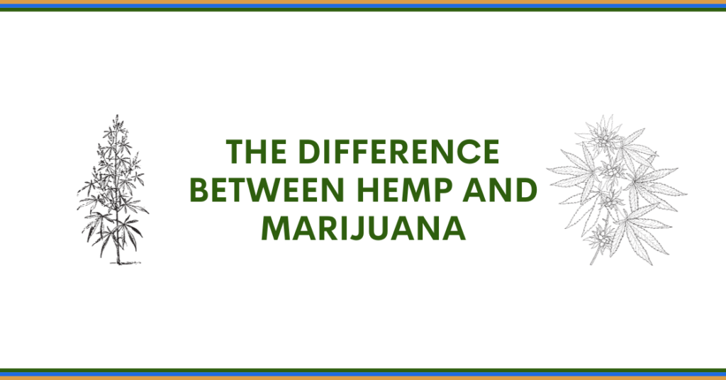The Difference Between Hemp & Marijuana