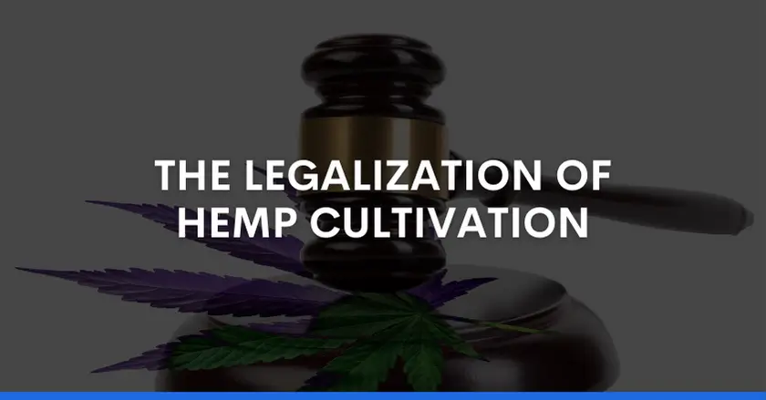 THE LEGALIZATION OF HEMP CULTIVATION_
