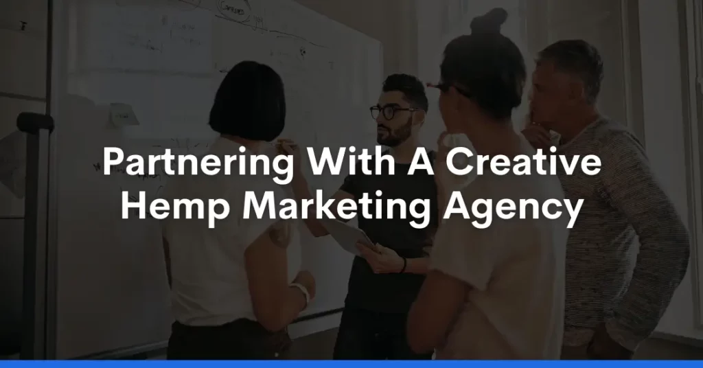 Partnering With A Creative Hemp Marketing Agency