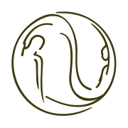 SmartSpine Works Company logo