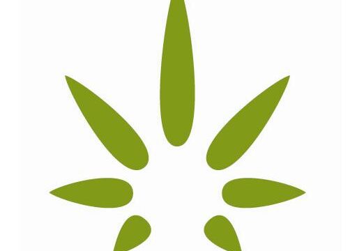 Hempwise logo