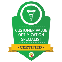 Customer Value Optimization Expert